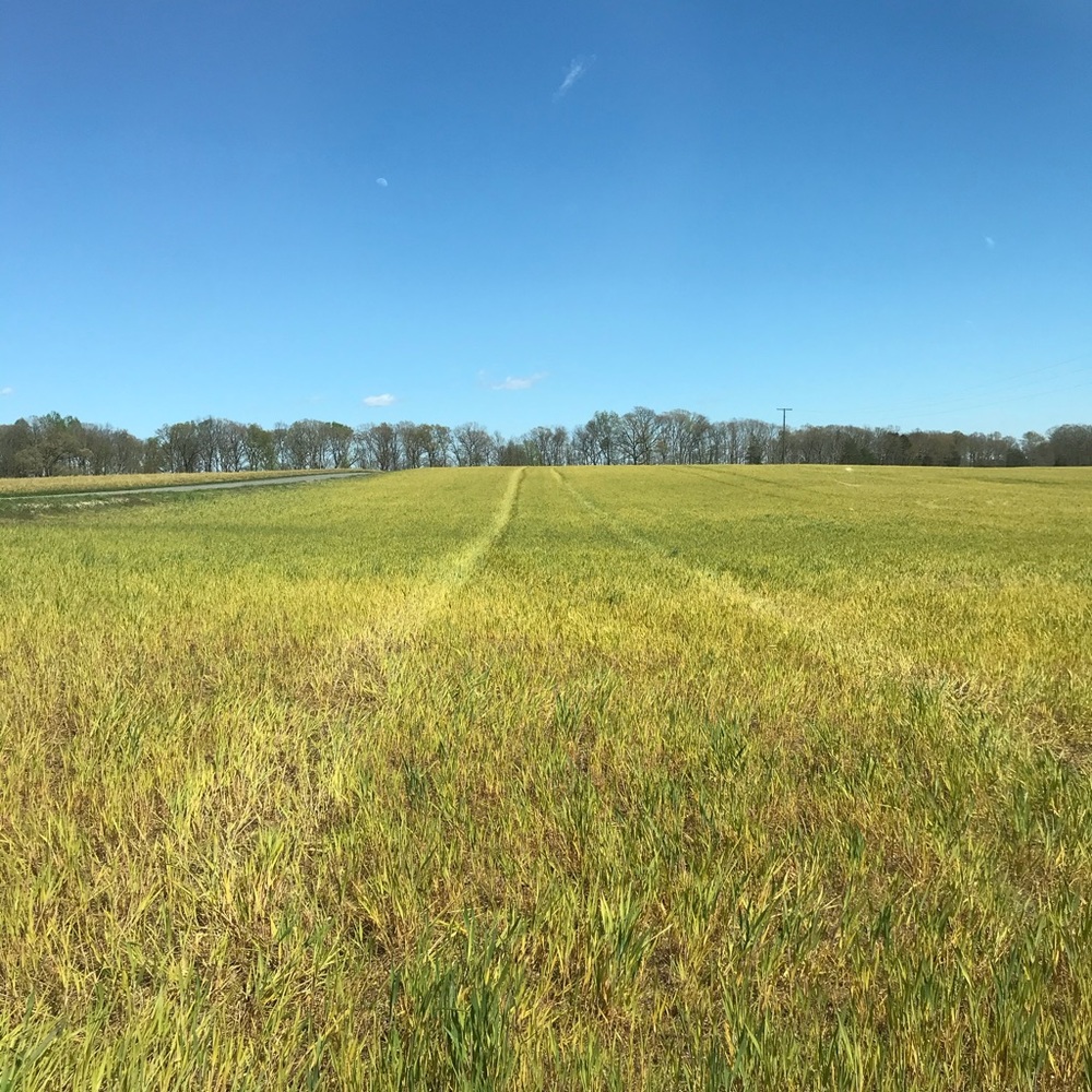 Meet your Posher, Alexzandria